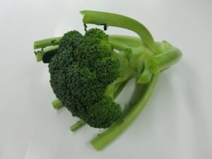 ブロッコリー